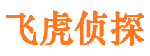 鹿泉市私家侦探